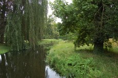 Sanssouci Gartenanlage 04.JPG